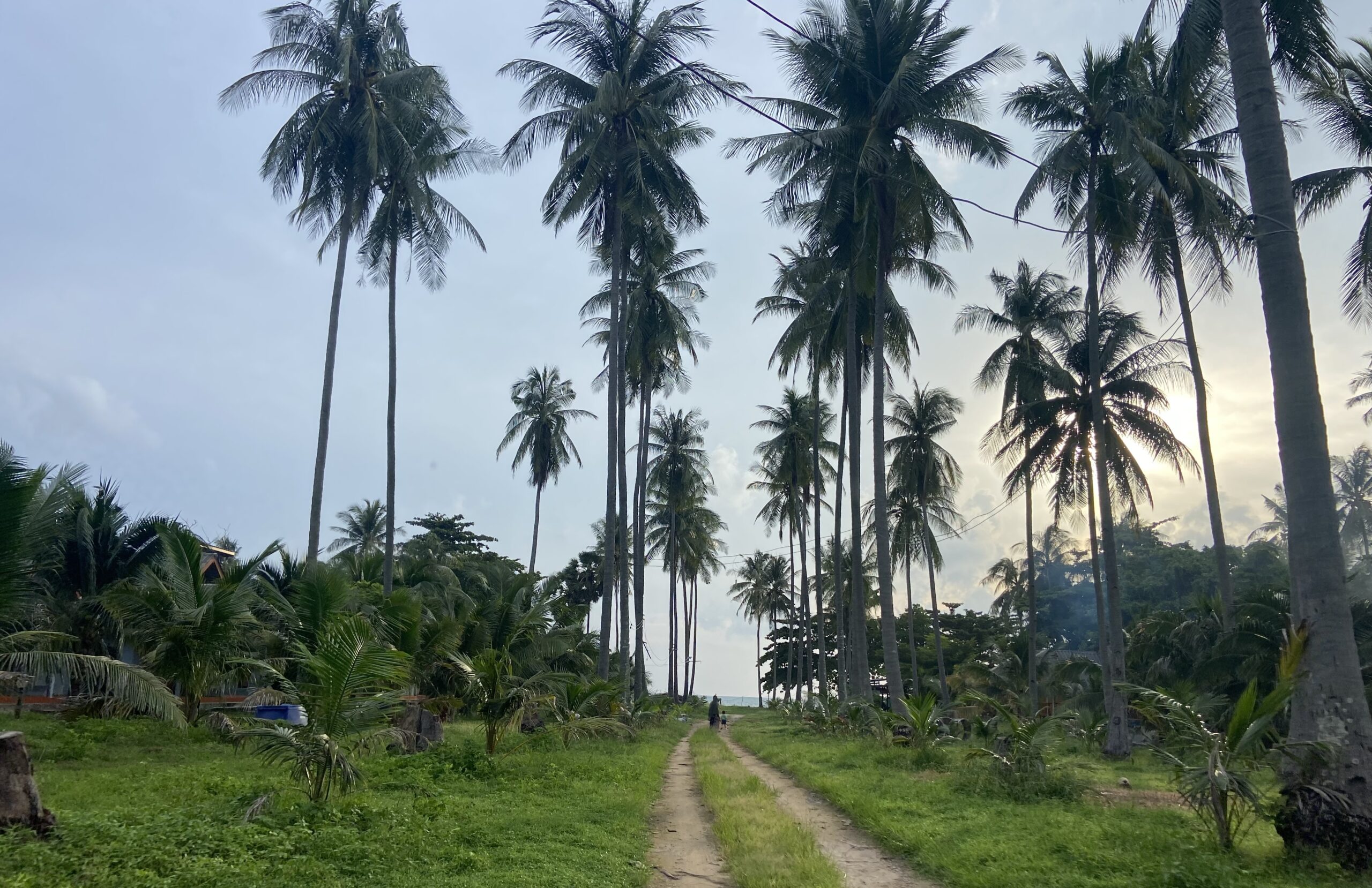 stop 4 : koh lanta